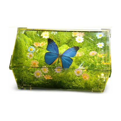 Caja Jardín De Mariposa