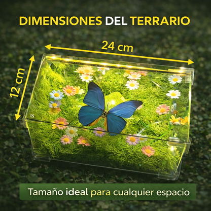 Caja Jardín De Mariposa