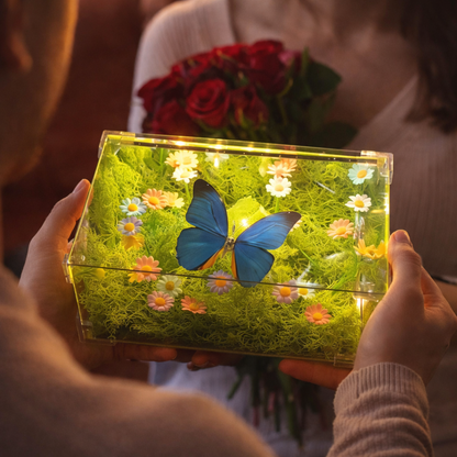 Caja Jardín De Mariposa